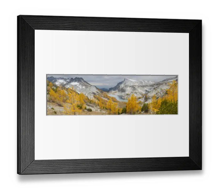 Framed Print : USA, WA, Alpine Lakes WIlderness Enchantments. Panorama of golden larch (Larix lyallii)