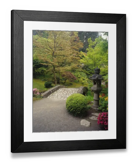 Framed Print : Spring colors in the Japanese Garden, Seattle, Washington