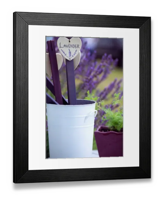 Framed Print : NA, USA, Washington, Lavender signs in buckets at a lavender farm in Sequim
