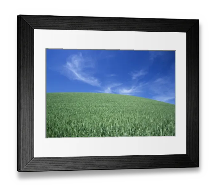Framed Print : N. A. USA, Washington, Whitman County. Wheatfields in the Palouse Framed Print : N. A. USA, Washington, Whitman County. Wheatfields in the Palouse