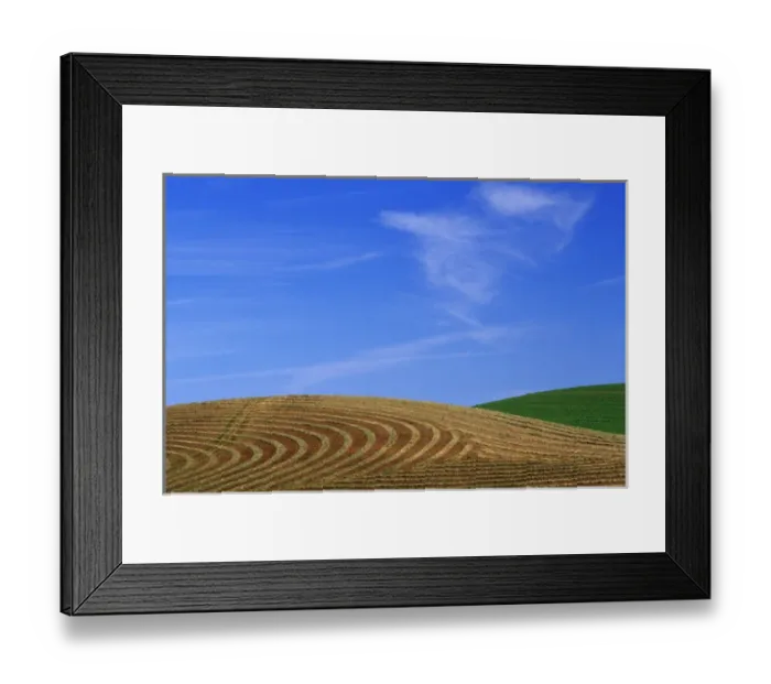 Framed Print : N. A. USA, Washington, Whitman County. Cut hayfield and wheat in the Palouse Framed Print : N. A. USA, Washington, Whitman County. Cut hayfield and wheat in the Palouse
