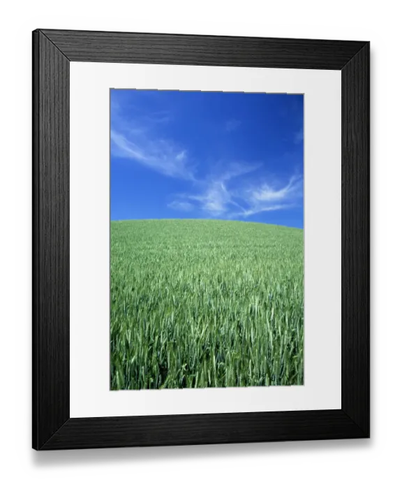 Framed Print : N. A. USA, Washington, Whitman County. Wheatfields in the Palouse Framed Print : N. A. USA, Washington, Whitman County. Wheatfields in the Palouse