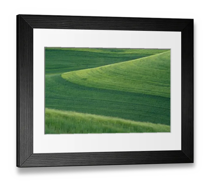 Framed Print : N. A. USA, Washington, Whitman County. Wheatfields in the Palouse Framed Print : N. A. USA, Washington, Whitman County. Wheatfields in the Palouse