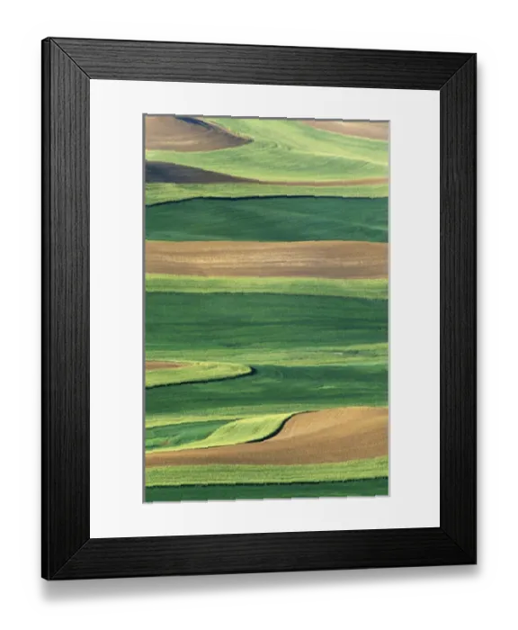 Framed Print : N. A. USA, Washington, Whitman County
