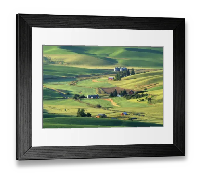 Framed Print : N. A. USA, Washington, Whitman County Framed Print : N. A. USA, Washington, Whitman County