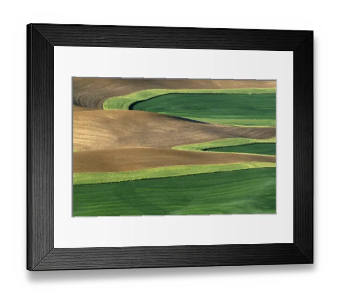 Framed Print : N. A. USA, Washington, Whitman County