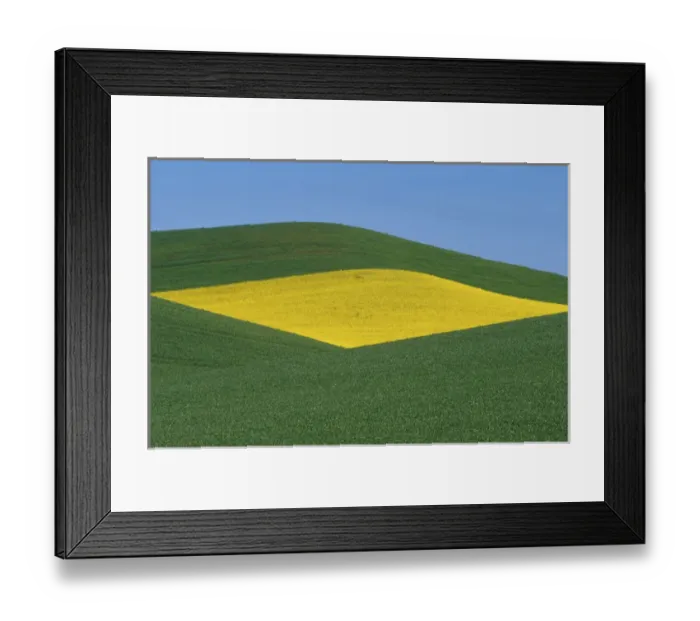 Framed Print : N. A. USA, Washington, Whitman County. Patterns of canola and wheatfields in the Palouse Framed Print : N. A. USA, Washington, Whitman County. Patterns of canola and wheatfields in the Palouse
