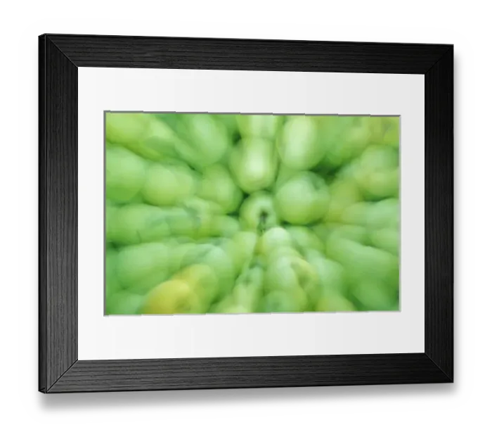 Framed Print : NA, USA, Washington, Eastern Washington Just-picked apples in orchard Framed Print : NA, USA, Washington, Eastern Washington Just-picked apples in orchard