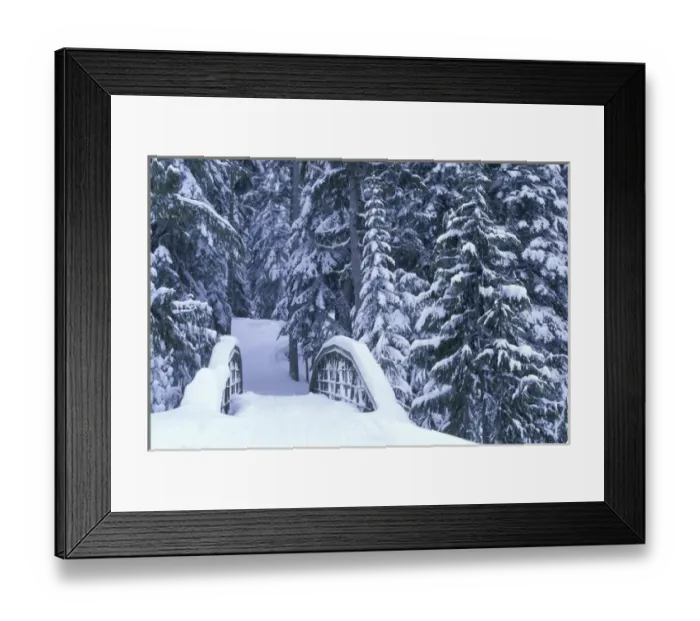 Framed Print : NA, USA, Washington, Eastern Washington Snow-covered bridge and fir trees, winter Framed Print : NA, USA, Washington, Eastern Washington Snow-covered bridge and fir trees, winter