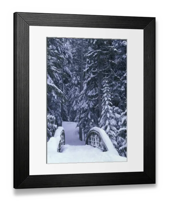 Framed Print : NA, USA, Washington, Eastern Washington Snow-covered bridge and fir trees, winter