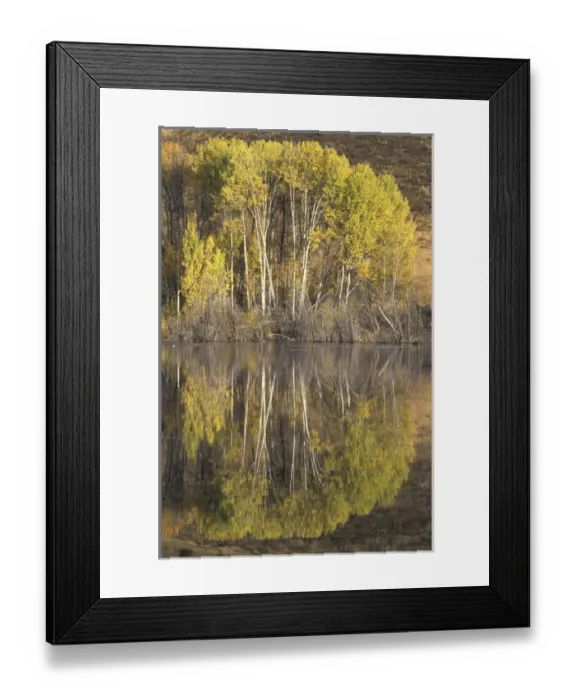 Framed Print : NA, USA, Washington, Methow Valley, near Winthrop Fall colors Framed Print : NA, USA, Washington, Methow Valley, near Winthrop Fall colors