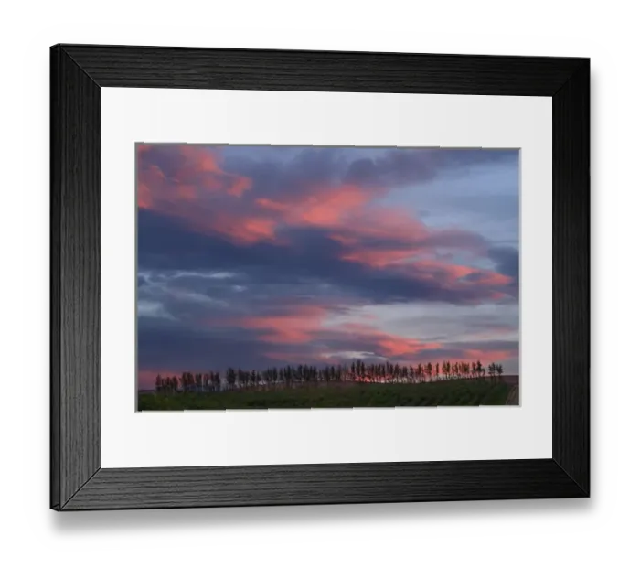 Framed Print : A colorful sunset overlooking the vineyards at Seven Hills Vineyard outside of Walla Walla Framed Print : A colorful sunset overlooking the vineyards at Seven Hills Vineyard outside of Walla Walla