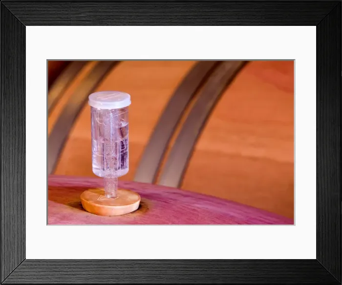 Framed Print : A device that allows the CO2 (Carbon Dioxide) to escape the wine barrel and not allow Framed Print : A device that allows the CO2 (Carbon Dioxide) to escape the wine barrel and not allow