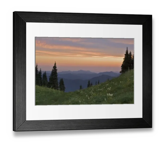Framed Print : Sunrise-colored clouds over a field of wildflowers in the Tatoosh Wilderness looking
