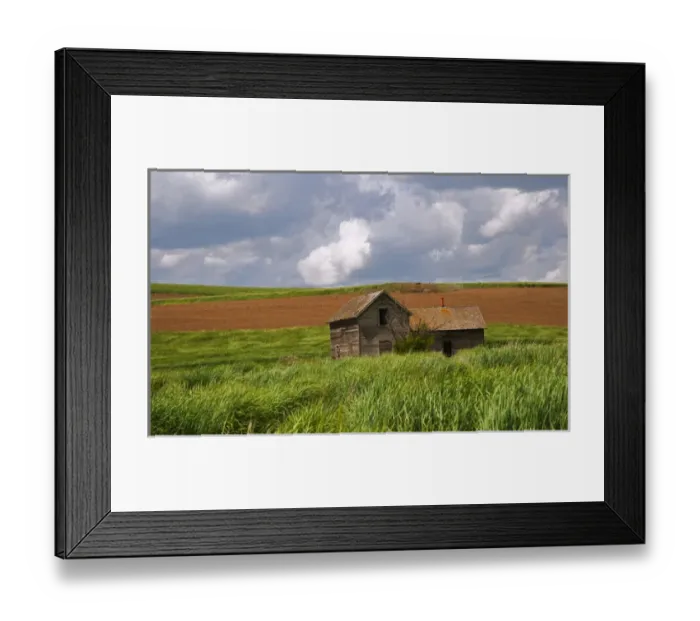 Framed Print : A ride through the farm country of Palouse west of Colfax in Washington state Framed Print : A ride through the farm country of Palouse west of Colfax in Washington state