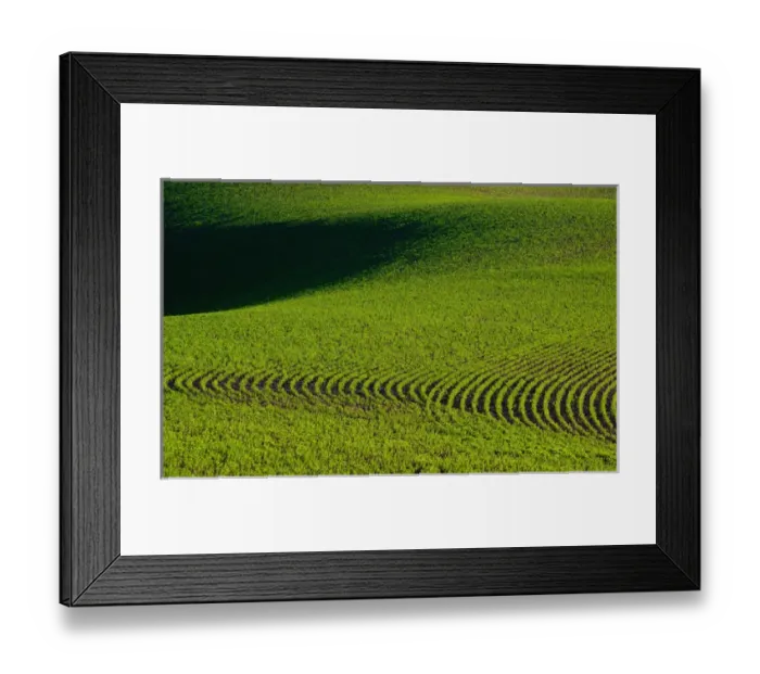 Framed Print : Aview of a farm field in the Palouse east of St John Washington State Framed Print : Aview of a farm field in the Palouse east of St John Washington State