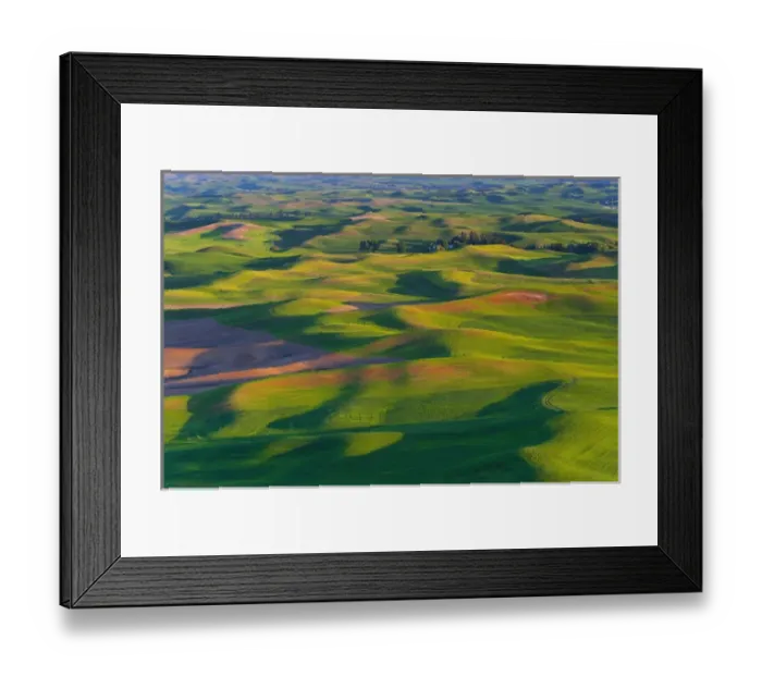 Framed Print : A view of the Palouse farm lands from Steptoe MT in Washington State Framed Print : A view of the Palouse farm lands from Steptoe MT in Washington State