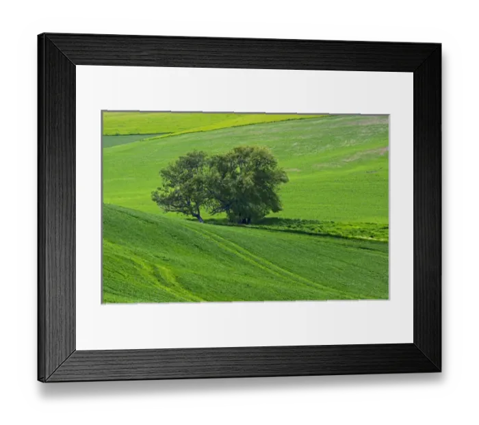 Framed Print : A landscape in the Palouse Southwest of Colfax Framed Print : A landscape in the Palouse Southwest of Colfax