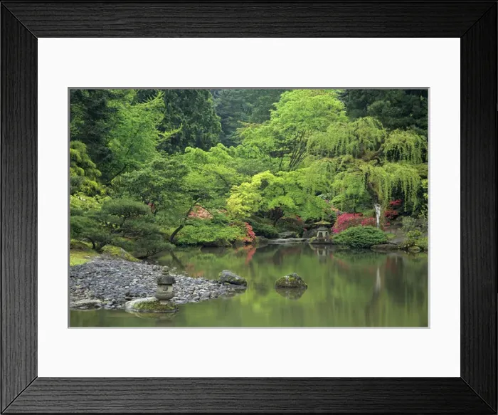 Framed Print : WA, Seattle, Reflecting pool scene, Japanese Garden