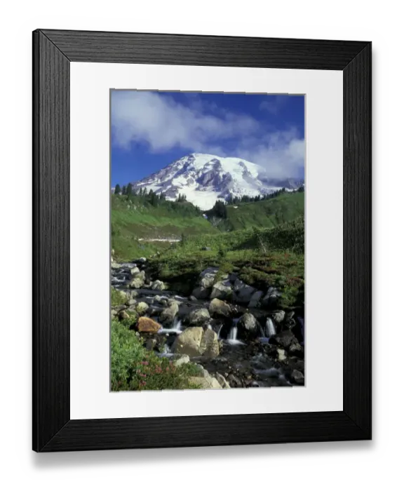 Framed Print : N. A. USA, Washington, Mt. Rainier Nat l Park Mt. Rainier and Edith Creek
