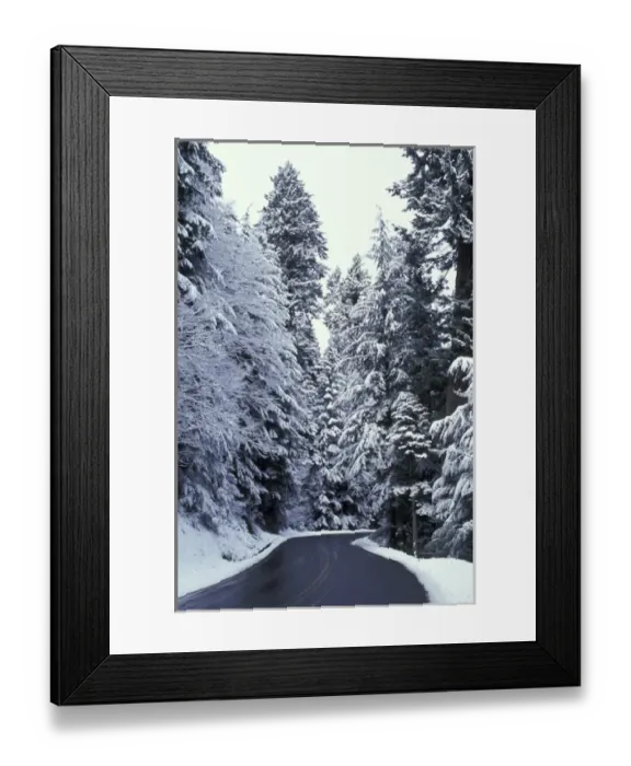 Framed Print : N. A. USA, Washington, Mt. Rainier Nat l Park Road to Paradise with snow