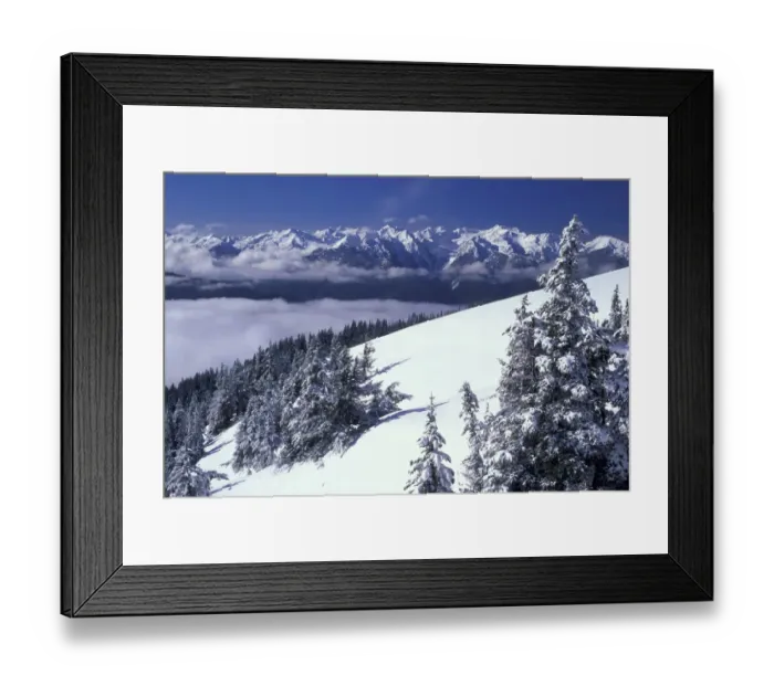 Framed Print : NA, USA, Washington, Olympic NP Olympic Mountain Range after a winter snow storm