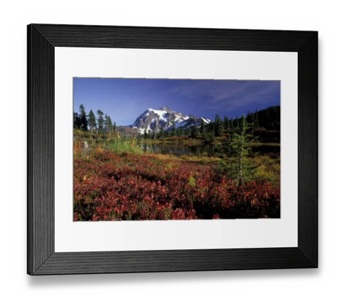 Framed Print : NA, USA, Washington, Heather Meadows RA Mount Shuksan at Heather Meadows; fall Framed Print : NA, USA, Washington, Heather Meadows RA Mount Shuksan at Heather Meadows; fall