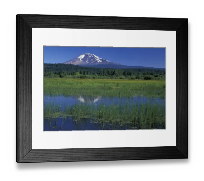 Framed Print : NA, USA, Washington, Trout Lake Mt. Adams and Trout Lake; summer Framed Print : NA, USA, Washington, Trout Lake Mt. Adams and Trout Lake; summer