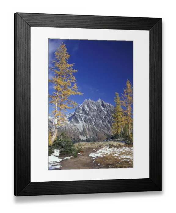 Framed Print : NA, USA, Washington, Mount Stewart Range Mount Stewart with golden larch trees Framed Print : NA, USA, Washington, Mount Stewart Range Mount Stewart with golden larch trees