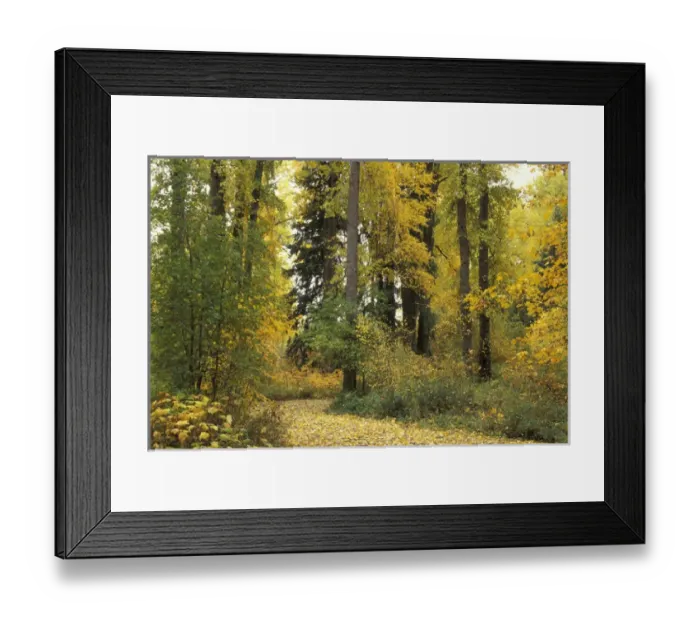 Framed Print : NA, USA, Washington, Easton. Road through forest with trees in fall color Framed Print : NA, USA, Washington, Easton. Road through forest with trees in fall color