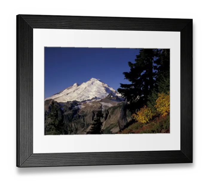 Framed Print : USA, WA, Heather Meadows RA. Mount Baker from Kulshan Ridge