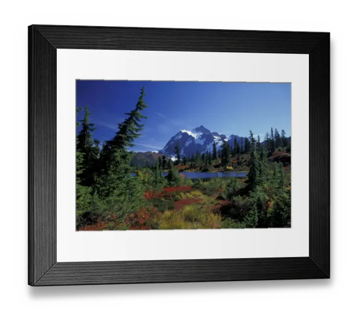 Framed Print : USA, WA, Heather Meadows RA. Mount Shuksan at Heather Meadows