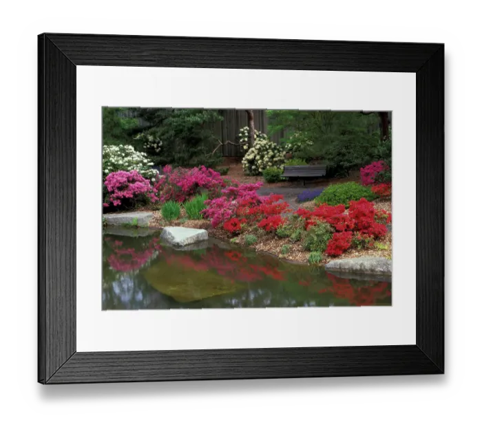 Framed Print : North America, USA, WA, Seattle, Washington Park Arboretum, Japanese Garden Framed Print : North America, USA, WA, Seattle, Washington Park Arboretum, Japanese Garden