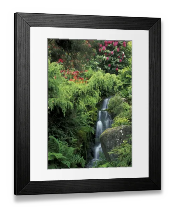 Framed Print : North America, USA, WA, Seattle, Washington Park Arboretum, Japanese Garden Framed Print : North America, USA, WA, Seattle, Washington Park Arboretum, Japanese Garden