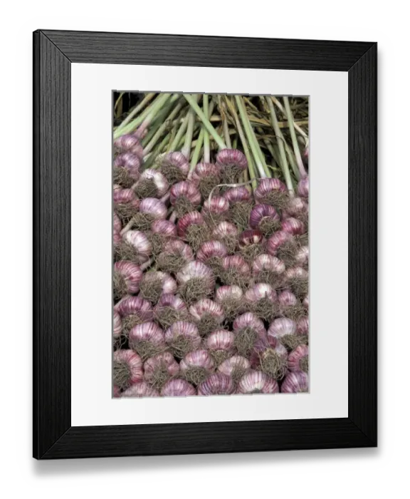 Framed Print : USA, Washington State, Seattle. Garlic display at Pike Place Market, Summer Framed Print : USA, Washington State, Seattle. Garlic display at Pike Place Market, Summer