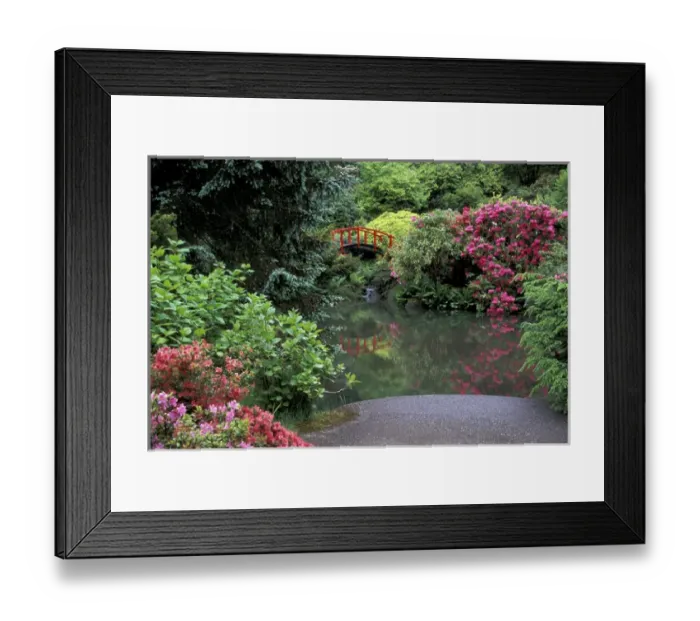 Framed Print : USA, Washington State, Seattle. Moon bridge with blossoming rhododendrons and pond Framed Print : USA, Washington State, Seattle. Moon bridge with blossoming rhododendrons and pond