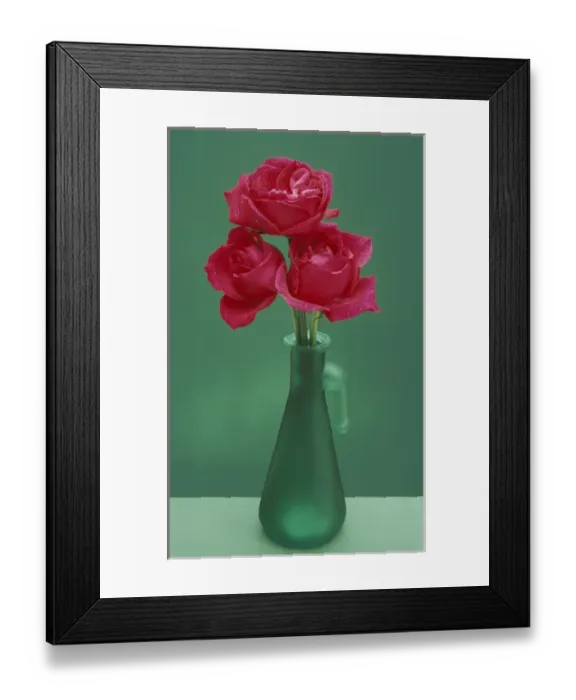 Framed Print : North America, USA, WA, Redmond red roses in green vase winter Framed Print : North America, USA, WA, Redmond red roses in green vase winter