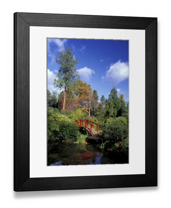 Framed Print : USA, Washington State, Seattle. Moonbridge and fall color in Kubota Garden Framed Print : USA, Washington State, Seattle. Moonbridge and fall color in Kubota Garden