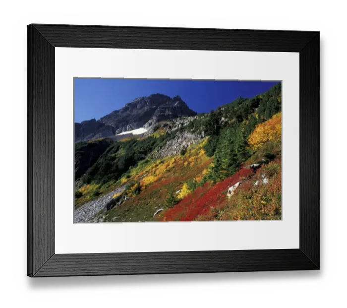 Framed Print : North America, USA, WA, North Cascades NP Autumn at Cascade Pass with Mix-up peak Framed Print : North America, USA, WA, North Cascades NP Autumn at Cascade Pass with Mix-up peak