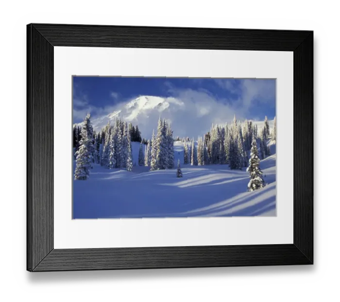 Framed Print : North America, USA, WA, Mt. Rainier NP Mt. Rainier and Paradise Valley
