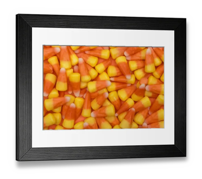 Framed Print : North America, USA, WA, Redmond candy corn patter