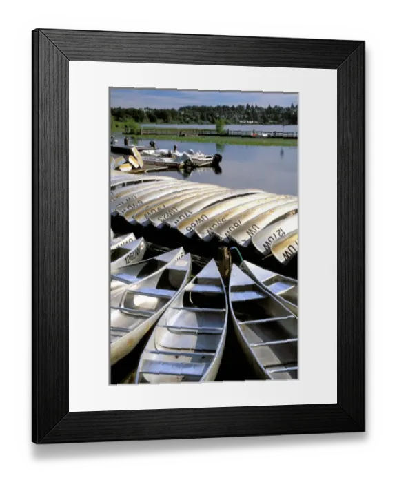 Framed Print : North America, USA, Washington State, Seattle, Lake Washington. Canoes for rent Framed Print : North America, USA, Washington State, Seattle, Lake Washington. Canoes for rent