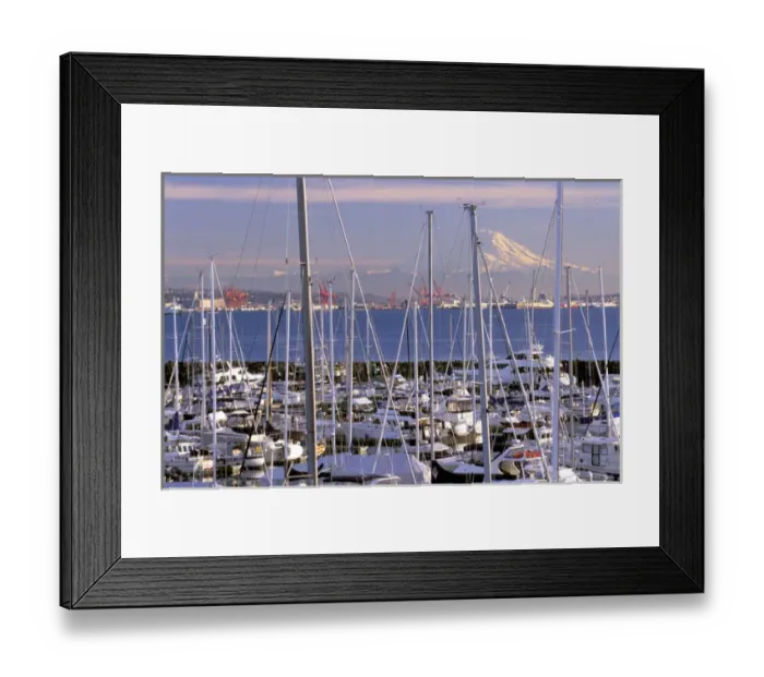 Framed Print : North America, USA, Washington State, Seattle. Elliott Bay Marina and Mount Rainier