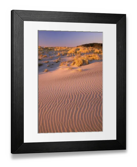 Framed Print : North America, USA, Washington State, Cape Disappointment State Park. Ocean Beach