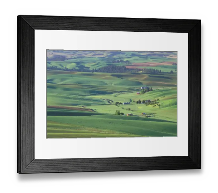 Framed Print : North America, USA, Washington State, Whitman County. Palouse Farmland view