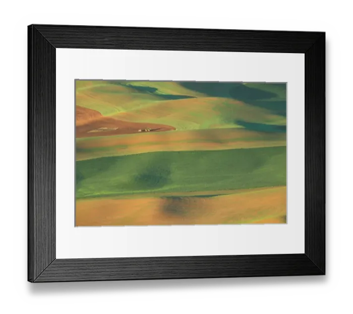 Framed Print : North America, USA, Washington State, Whitman County. Palouse Farmland, view