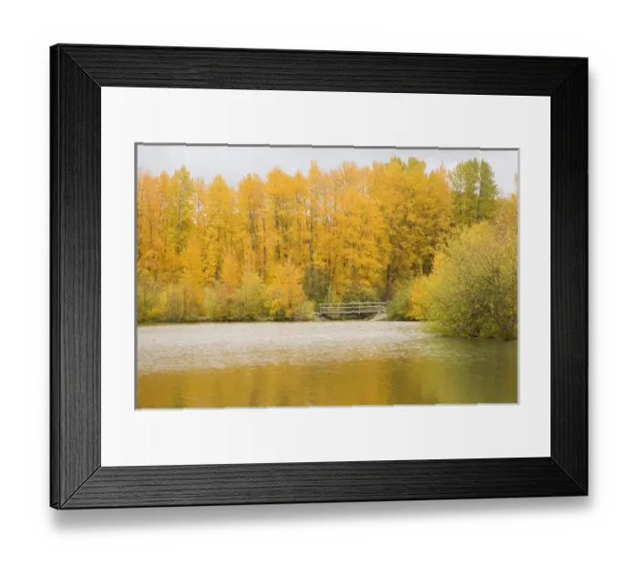 Framed Print : WA, Wenatchee NF, near Easton, Autumn color at Easton Ponds Framed Print : WA, Wenatchee NF, near Easton, Autumn color at Easton Ponds