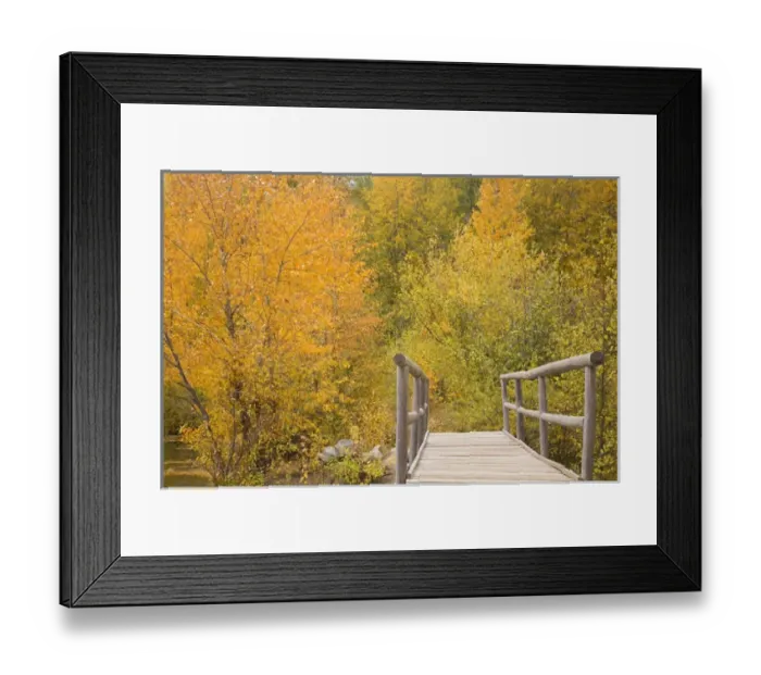 Framed Print : WA, Wenatchee NF, near Easton, Autumn color at Easton Ponds with trail