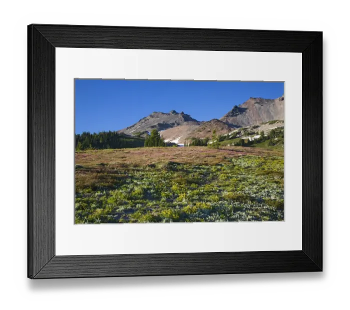 Framed Print : WA, Goat Rocks Wilderness, Goat Rocks and Snowgrass Flat with pink mountain heather Framed Print : WA, Goat Rocks Wilderness, Goat Rocks and Snowgrass Flat with pink mountain heather