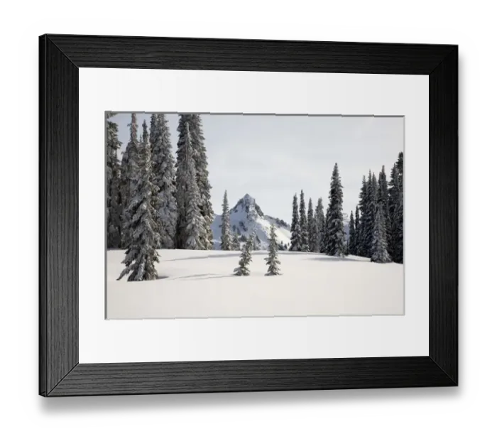 Framed Print : WA, Mt. Rainier NP, Snow covered trees with Tatoosh Range Framed Print : WA, Mt. Rainier NP, Snow covered trees with Tatoosh Range